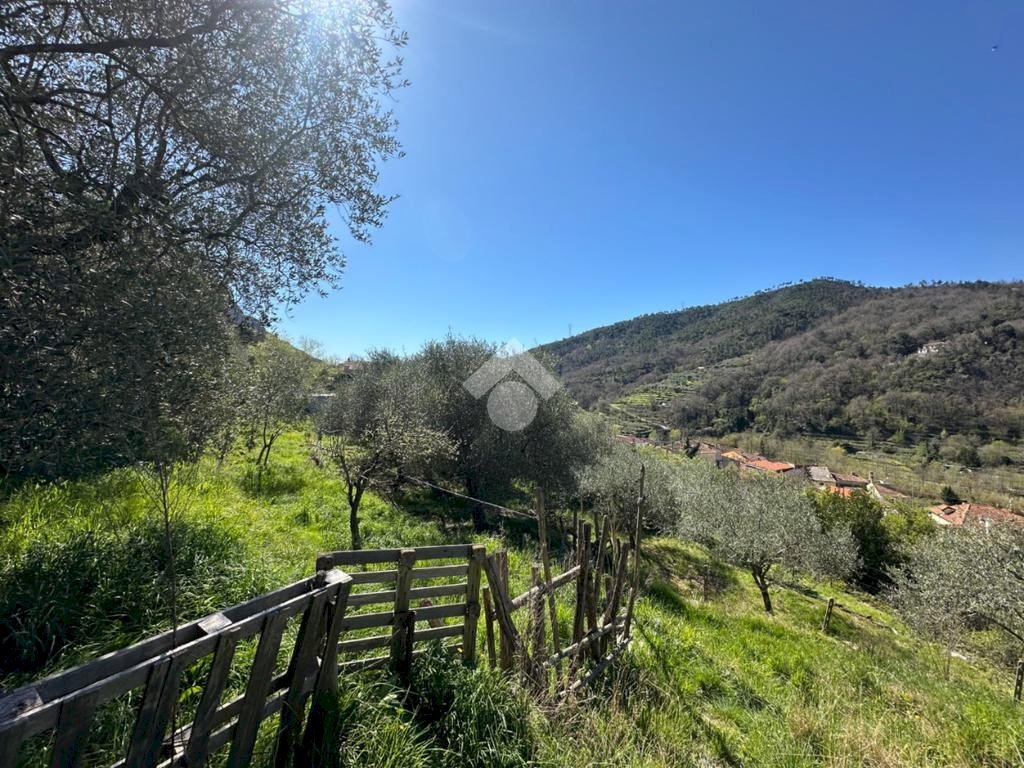 Terreno agricolo Via del cimitero, Calice Ligure - foto 1