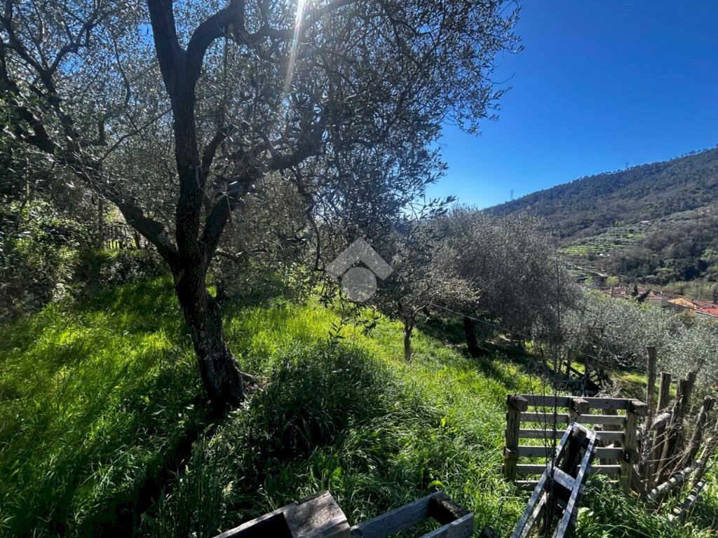 Terreno agricolo Via del cimitero, Calice Ligure - foto 2