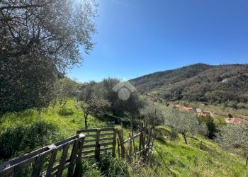 Terreno agricolo Via del cimitero, Calice Ligure - foto 1