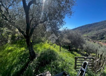 Terreno agricolo Via del cimitero, Calice Ligure - foto 2