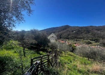 Terreno agricolo Via del cimitero, Calice Ligure - foto 4
