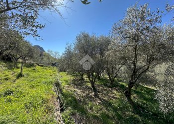 Terreno agricolo Via del cimitero, Calice Ligure - foto 6