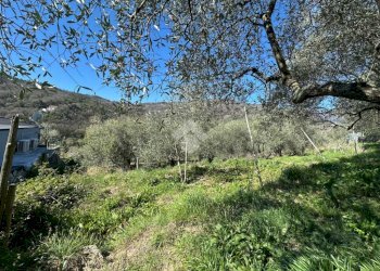 Terreno agricolo Via del cimitero, Calice Ligure - foto 9