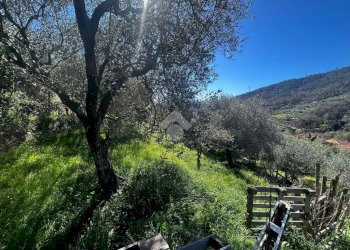 Terreno agricolo Via del cimitero, Calice Ligure - foto 10