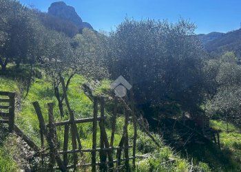 Terreno agricolo Via del cimitero, Calice Ligure - foto 11