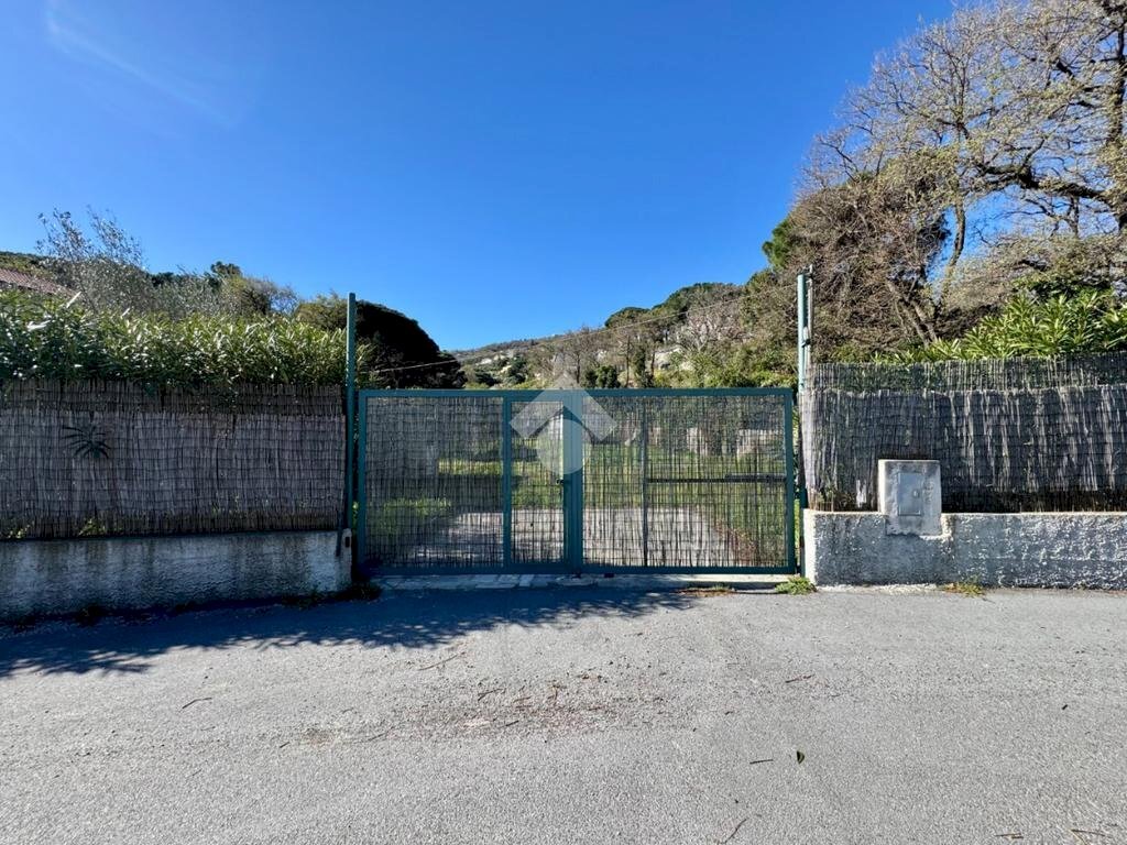 Terreno agricolo Via dei Pini, Spotorno - foto 1
