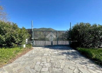 Terreno agricolo Via dei Pini, Spotorno - foto 2