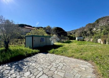 Terreno agricolo Via dei Pini, Spotorno - foto 6