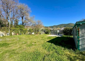 Terreno agricolo Via dei Pini, Spotorno - foto 8