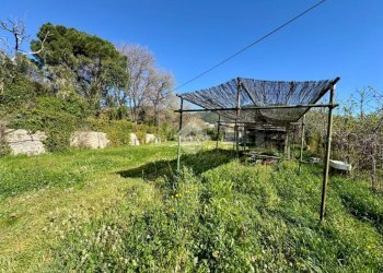 Terreno agricolo Via dei Pini, Spotorno - foto 9