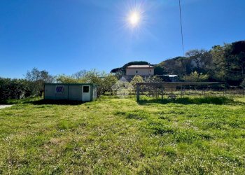 Terreno agricolo Via dei Pini, Spotorno - foto 10