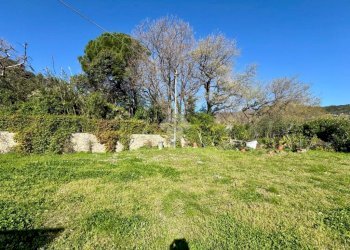 Terreno agricolo Via dei Pini, Spotorno - foto 11