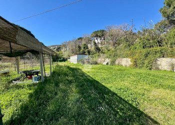 Terreno agricolo Via dei Pini, Spotorno - foto 12