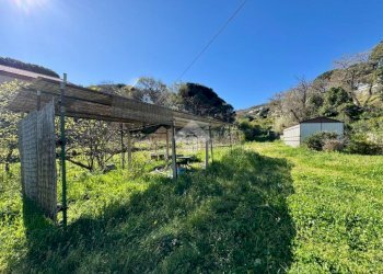 Terreno agricolo Via dei Pini, Spotorno - foto 15