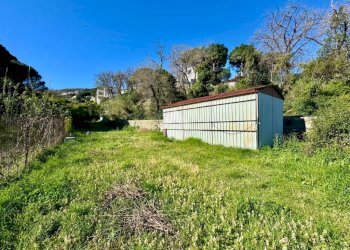Terreno agricolo Via dei Pini, Spotorno - foto 17