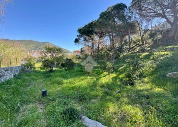 Terreno agricolo Via dei Pini, Spotorno - foto 20