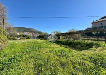 Terreno agricolo Via dei Pini, Spotorno - foto 21