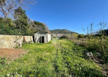 Terreno agricolo Via dei Pini, Spotorno - foto 22