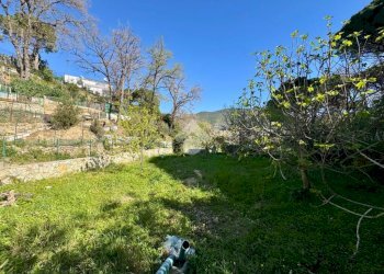 Terreno agricolo Via dei Pini, Spotorno - foto 23