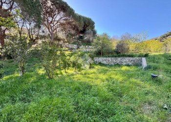 Terreno agricolo Via dei Pini, Spotorno - foto 24