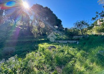 Terreno agricolo Via dei Pini, Spotorno - foto 25