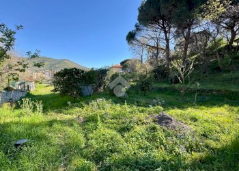 Terreno agricolo Via dei Pini, Spotorno - foto 26