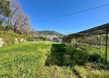 Terreno agricolo Via dei Pini, Spotorno - foto 27