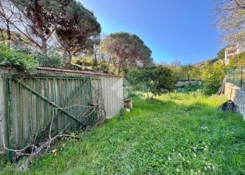 Terreno agricolo Via dei Pini, Spotorno - foto 28