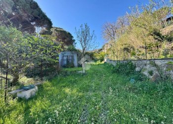 Terreno agricolo Via dei Pini, Spotorno - foto 29