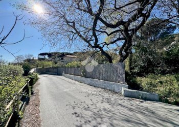 Terreno agricolo Via dei Pini, Spotorno - foto 30