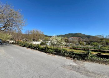 Terreno agricolo Via dei Pini, Spotorno - foto 32