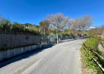 Terreno agricolo Via dei Pini, Spotorno - foto 33