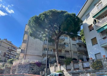 Bilocale Genova (zona Sampierdarena) - foto 18