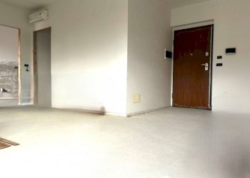 Trilocale Collegno - foto 5