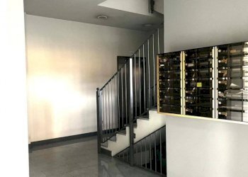 Trilocale Collegno - foto 33