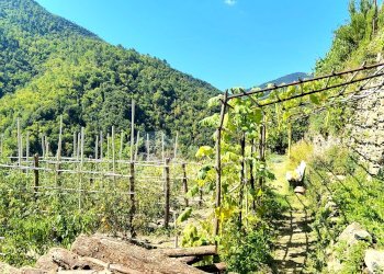 Townhouse via Fossarel, Pigna - photo 40