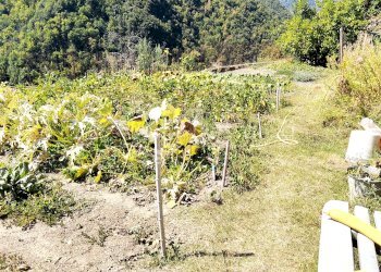 Townhouse via Fossarel, Pigna - photo 41