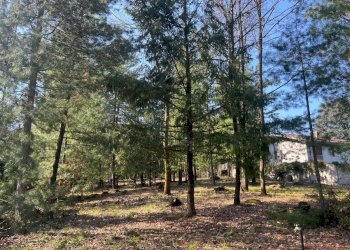 Villa Moncrivello - foto 17