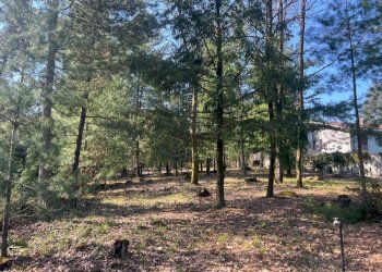 Villa Moncrivello - foto 18