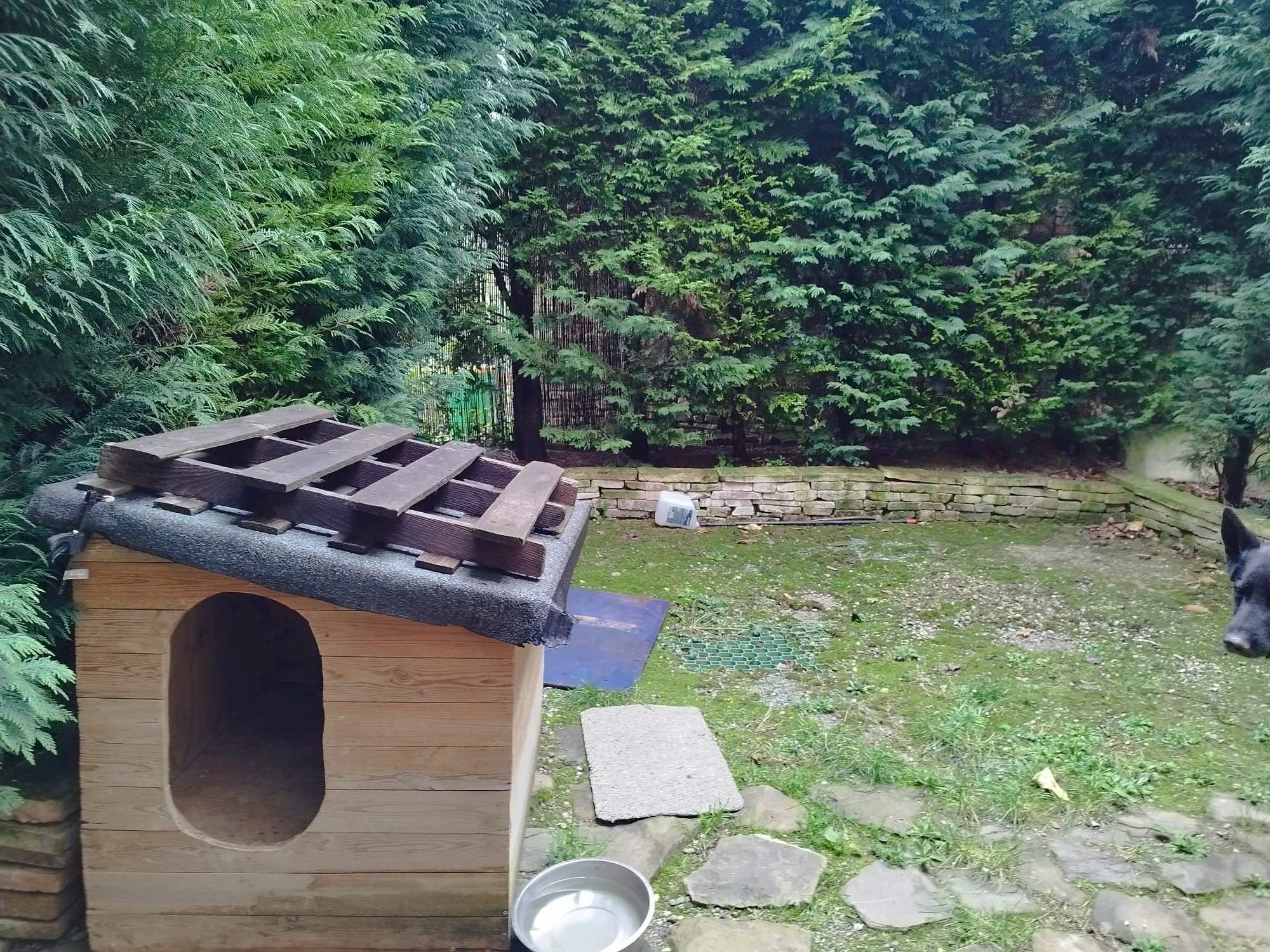 Porzione di casa Via per puianello, frazione Levizzano Rangone, Castelvetro di Modena - foto 2