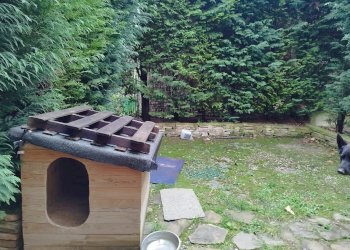 Porzione di casa Via per puianello, frazione Levizzano Rangone, Castelvetro di Modena - foto 2