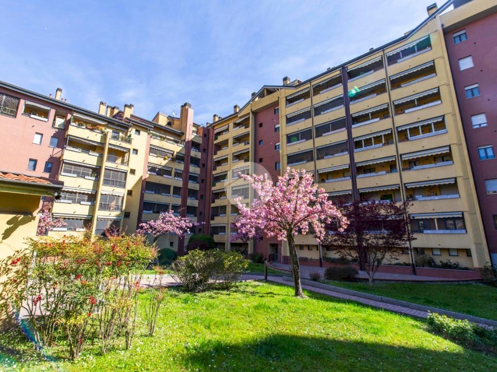 Two-room apartment Via Eugenio Curiel, Rozzano - photo 3