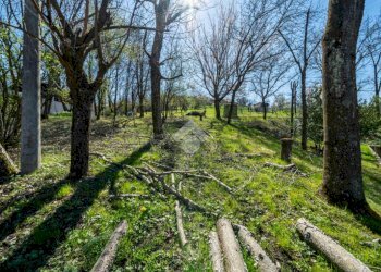 Quadrilocale Giaretta Ienza, Canossa - foto 40