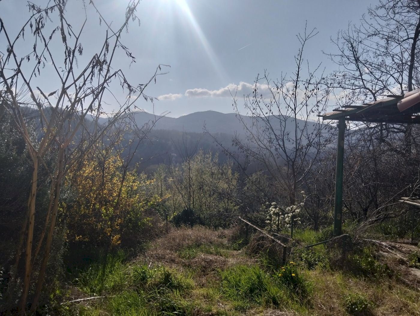 Casa indipendente Cassinelle, Cassinelle - foto 3