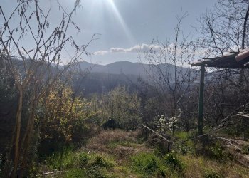 Casa indipendente Cassinelle, Cassinelle - foto 20