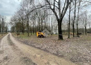 Terreno agricolo Via Tolara di Sopra, Ozzano dell'Emilia - foto 8