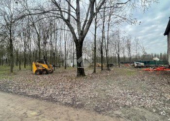 Terreno agricolo Via Tolara di Sopra, Ozzano dell'Emilia - foto 9