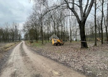 Terreno agricolo Via Tolara di Sopra, Ozzano dell'Emilia - foto 10