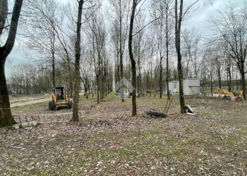 Terreno agricolo Via Tolara di Sopra, Ozzano dell'Emilia - foto 12