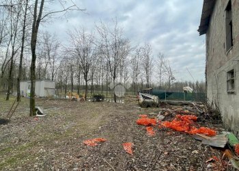 Terreno agricolo Via Tolara di Sopra, Ozzano dell'Emilia - foto 13